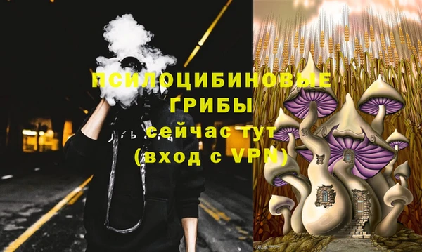 ешки Алексин