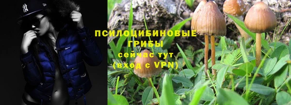 ешки Алексин
