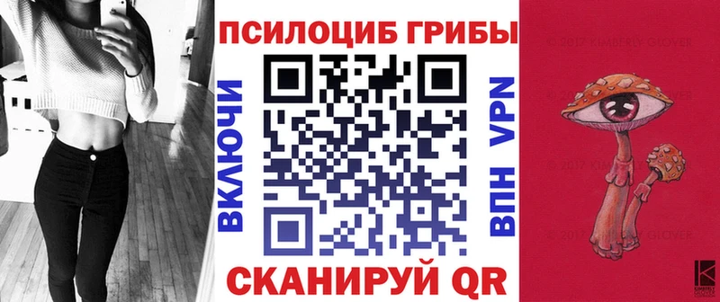 Псилоцибиновые грибы MAGIC MUSHROOMS  Купить где  Венёв 